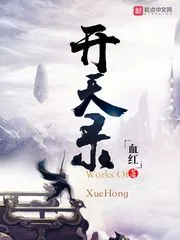 《开天录》小说封面