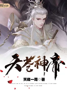 《天苍神帝》小说封面