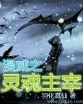 《美漫之灵魂主宰》小说封面