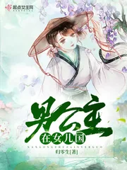 《男公主在女儿国》封面