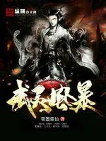 《武灵风暴》封面