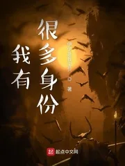 《我有很多身份》封面