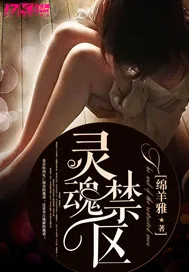 《灵魂禁区》封面