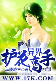 《异界护花高手》封面