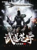 《武道苍宇》封面
