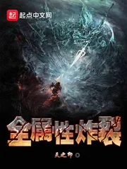 《全属性炸裂》封面
