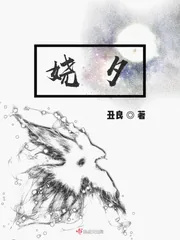 《娆夕》封面