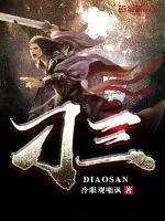 《刁三》封面