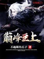 《巅峰至上》封面
