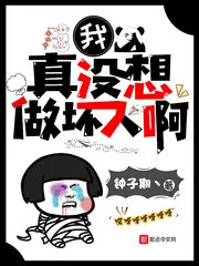 《我真没想做坏人啊》封面