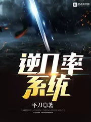 《逆几率系统》封面