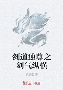 《剑道独尊之剑气纵横》封面