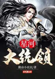 《星河大统领》封面
