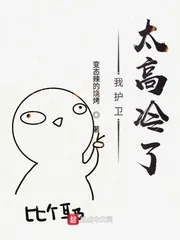 《我护卫太高冷了》封面