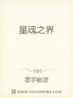《星魂之界》封面