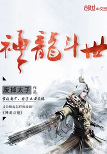《神龙斗世》封面