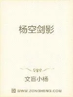 《杨空剑影》封面