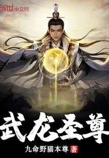 《武龙圣尊》封面