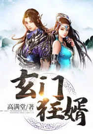 《玄门狂婿》封面