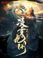 《凌霄九州》封面