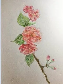《弃女仙路》封面
