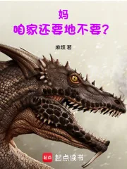 《妈,咱家还要地不要?》小说封面