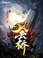 《风云桥》封面