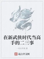 《在新武侠时代当高手的二三事》封面