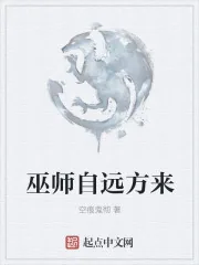 《巫师自远方来》封面