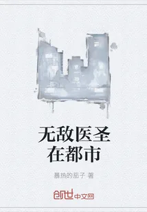 《无敌医圣在都市》封面