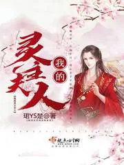 《我的灵主夫人》封面