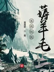 《系统叫我薅羊毛》封面