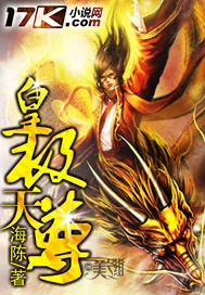 《皇极天尊》封面