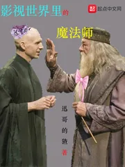 《影视世界里的魔法师》封面