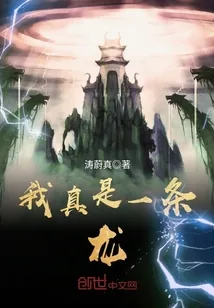 《我真是一条龙》封面