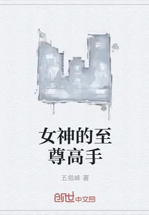 《女神的至尊高手》封面