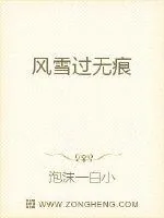 《风雪过无痕》封面