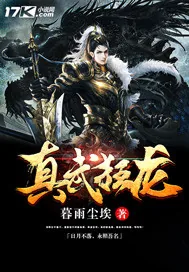 《真武狂龙》封面