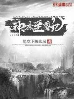 《神魔至尊记》封面