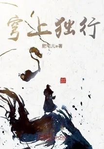 《穹上独行》封面