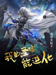 《我的圣体能进化》封面