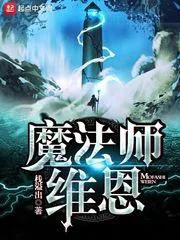 《魔法师维恩》封面