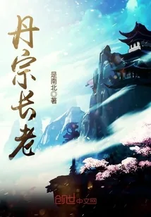 《丹宗长老》封面