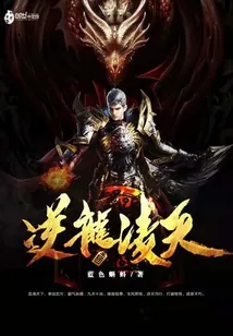 《逆龙凌天》封面