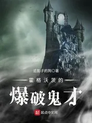 《霍格沃茨的爆破鬼才》封面