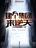 《建个集团来逆天》封面