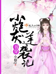 《书穿小炮灰逆袭记》封面