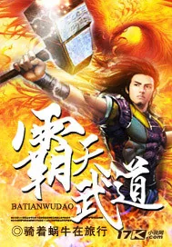 《霸天武道》封面