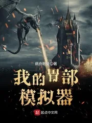 《我的胃部模拟器》封面