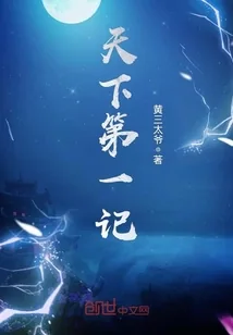 《天下第一记》封面